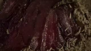 Maggots eating meat  HD timelapse video [upl. by Giordano7]