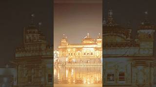 The Majestic Golden Temple at Nightamritsar diwali ekonkar shorts trending [upl. by Swen]