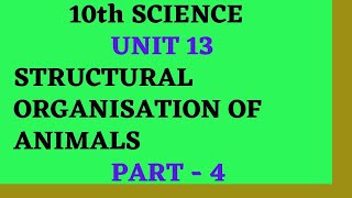 10th science unit13 Structural organisation of animals in tamilexternal morphology rabbit 4 [upl. by Teddman]