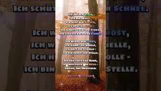 Emotionaler Spruch Was zum nachdenken [upl. by Dnomyad]