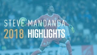 Steve Mandanda ses meilleurs arrêts de la saison 2018 [upl. by Aihsemek579]