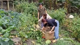 Full video part 7 Gardening and welcoming girls to buy vegetables Robert  Green forest life [upl. by Eltsyek]