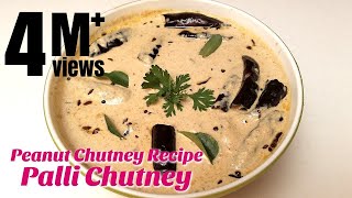 Palli Chutney  Peanut Chutney Recipe  How to make Chutney  Hyderabadi Ruchulu [upl. by Janeta]