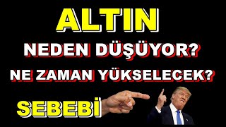 Altın ve Gümüş Yatırımcısı Olmak  Altın Ne Zaman Yükselecek  Alalım Mı Satalım Mı  Dolar [upl. by Agueda]