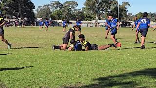 Tobiass Bass High Rugby League highlights 2024 CanterburyBankstown Bulldogs u14s Development [upl. by Anaitak598]