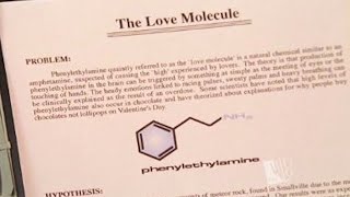 Finding Euphoria with PEA  Phenylethylamine Experience Report [upl. by Asiul]