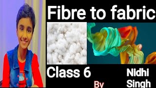 Fibre to fabric class 6  fibre kya hota hai fibre se dhaga kaise banta hai [upl. by Lirva]