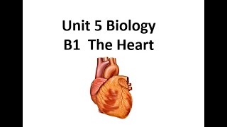 BTEC Applied Science Unit 5 B1 The Heart [upl. by Nessa]