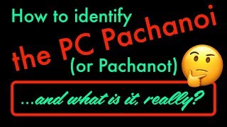 How to identify the PC Pachanoi Pachanot and is it really a San Pedro cactus [upl. by Oetam888]