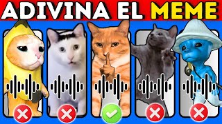 Adivina El Meme Por La Canción😀🎶Edición GATOS😺Gato Chipi Chipi😺Gato Banana😺Gato Pitufo💙😺Gato Mewing😺 [upl. by Nohtanhoj]