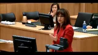 Jodi Arias Trial  Day 39  DV Expert  Part 3 Of 3 No Sidebars [upl. by Yttik]