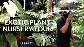 Plant Nursery Tour of Little Botany  Exotic plants amp aroids collection Singapore [upl. by Asiuqram]