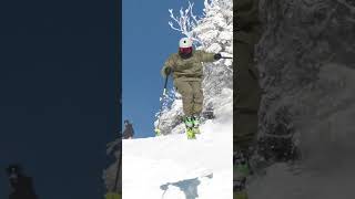 2024 Mens Mid 100 mm Freeride Ski Comparison Teaser [upl. by Jews704]