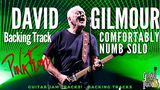 Comfortably Numb David Gilmour Style Pink Floyd Backing Track in B minor  Guitar Jam Tracks [upl. by Magree841]