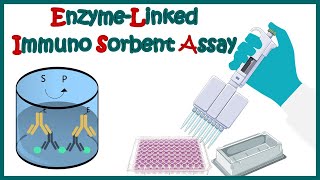 ELISA  Enzyme linked immonosorbent assay  ELISA test  Types of ELISA  Direct and Indirect ELISA [upl. by Latoniah]