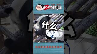 这乌鸦不讲武德 搞笑评论 搞笑 搞笑视频 抖音 神评论 [upl. by Latouche]