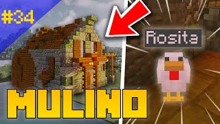 UN MULINO AD ACQUA  Minecraft ITA 34 [upl. by Orabelle]