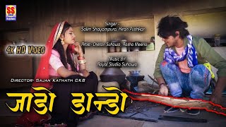 जाडो डांडो  Jado Dando  Rajasthani BiyanBiyai Galiyadj song  Kiran Pushkar Salim Syampura [upl. by Uchish112]