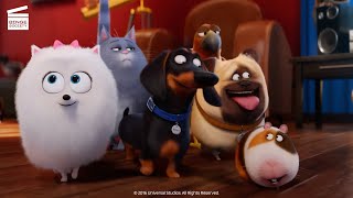 The Secret Life of Pets 2  Max and Duke Go on a Road Trip [upl. by O'Donovan278]