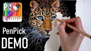 PenPick DEMO  Leopard in Colored Pencil [upl. by Sacks781]