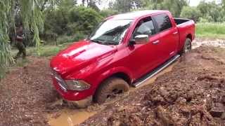 Dodge Ram 1500 Cooper Discoverer Stt 35 in mud [upl. by Othilie932]