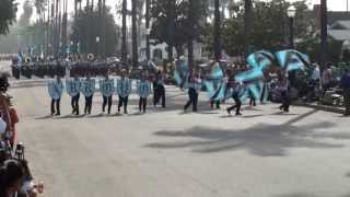 Arroyo HS  Chicago Tribune  2013 Loara Band Review [upl. by Haddad]