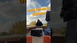 zeytin toplamaya gidiyorum [upl. by Binny93]