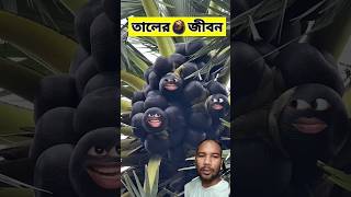 তালের জীবনে 😂  funnyvideo comedyshorts [upl. by Marc]