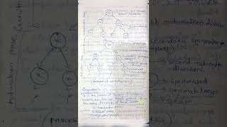 Gametogenesis spermatogenesis oogenesis biology zoology notes [upl. by Naegem860]