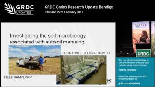 Grains Research Update 2017  Bendigo  Soil microbiology and subsoil manuring  C Celestina [upl. by Lapointe169]