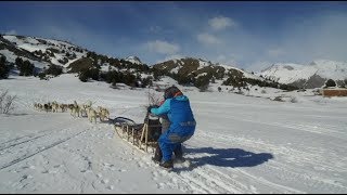 Trineos con perros en Valle de Tena  Guía Repsol [upl. by Nnair]