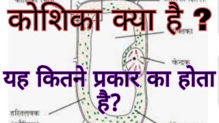 कोशिका क्या है यह कितने प्रकार का होता है  What is a Cell [upl. by Ardnuassak]