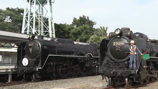 京都鉄道博物館 ついにD51復活！日本が誇る大型蒸気機関車2機の共演！SLの聖地「梅小路」ここにあり 2023070607 [upl. by Vod]