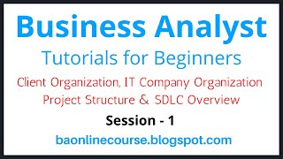 Business Analyst Tutorials for Bebinners  Client Organization  Project Structure  IT Company Org [upl. by Dias139]