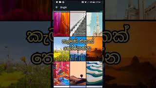 Whatsapp trik Whatsapp chat screen wallpapers📱 ⚙️😱😊 [upl. by Arnuad]