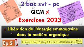 2 bac pc svt exercice 2023 ep 2  libération de lénergie emmagasinée dans la matière organique [upl. by Nigel]