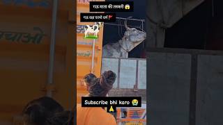 रक्षा करो 🙏🙏 cow cows cowvideos cowboys cowboy animaldance animals gay gau gaumata [upl. by Ramel448]