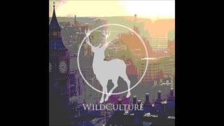 London Grammar  Hey Now Wild Culture More Sub Remix [upl. by Ahsael]