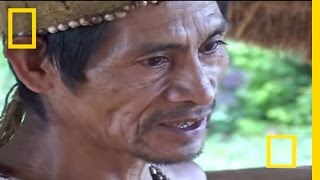 Rain Forest Shaman  National Geographic [upl. by Aisatsan]