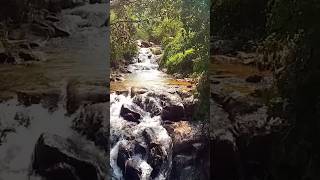 Riverston Matale Sri lanka රිවස්ටන් මාතලේ nature waterfallsrilanaka [upl. by Manbahs803]