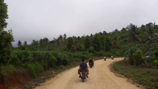 Kebun Cengkeh di Pulau Doi Kab Halmaheta Utara Provinsi Maluku Utara [upl. by Adnilahs610]