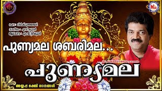 പുണ്യമല ശബരിമല  Punyamala Sabarimala  Ayyappa Devotional Song Malayalam  Mg Sreekumar [upl. by Hajidak920]