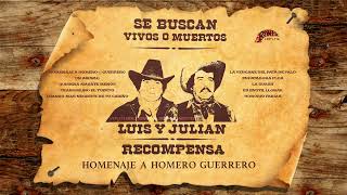 ☆LUIS Y JULIÁN ⋆ HOMENAJE A HOMERO ☆ GUERRERO ⋆⋆⋆ [upl. by Theodoric]