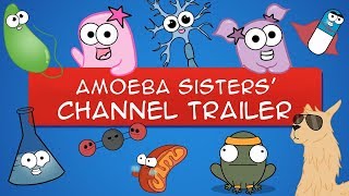 The Amoeba Sisters YouTube Trailer OLD VIDEO [upl. by Areis934]