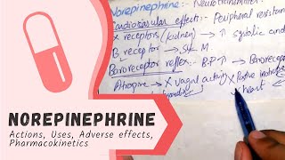 NOREPINEPHRINE  Actions Uses Pharmacokinetics adverse effects PHARMACOLOGY [upl. by Conlen]