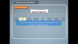 Types of Numbers even odd prime composite twin primes perfect coprime and prime triplets [upl. by Patt]