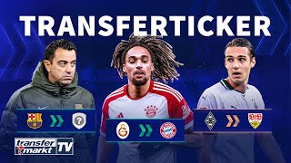 Bayern verpflichtet Boey  Xavi verkündet BarçaAus  StuttgartGerüchte um Neuhaus  TRANSFERMARKT [upl. by Enovad]