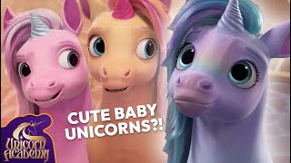 Unbelievably CUTE BABY UNICORN Moments from Chapter 2  Unicorn Academy  Cartoons for Kids [upl. by Emery]