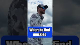 where to find muskies muskyfishing musky fishingtips [upl. by Noteloc763]