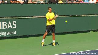 JoWilfried Tsonga Forehands in HD [upl. by Nikolaus]